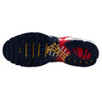 Nike Air Max Plus Paris Saint-Germain